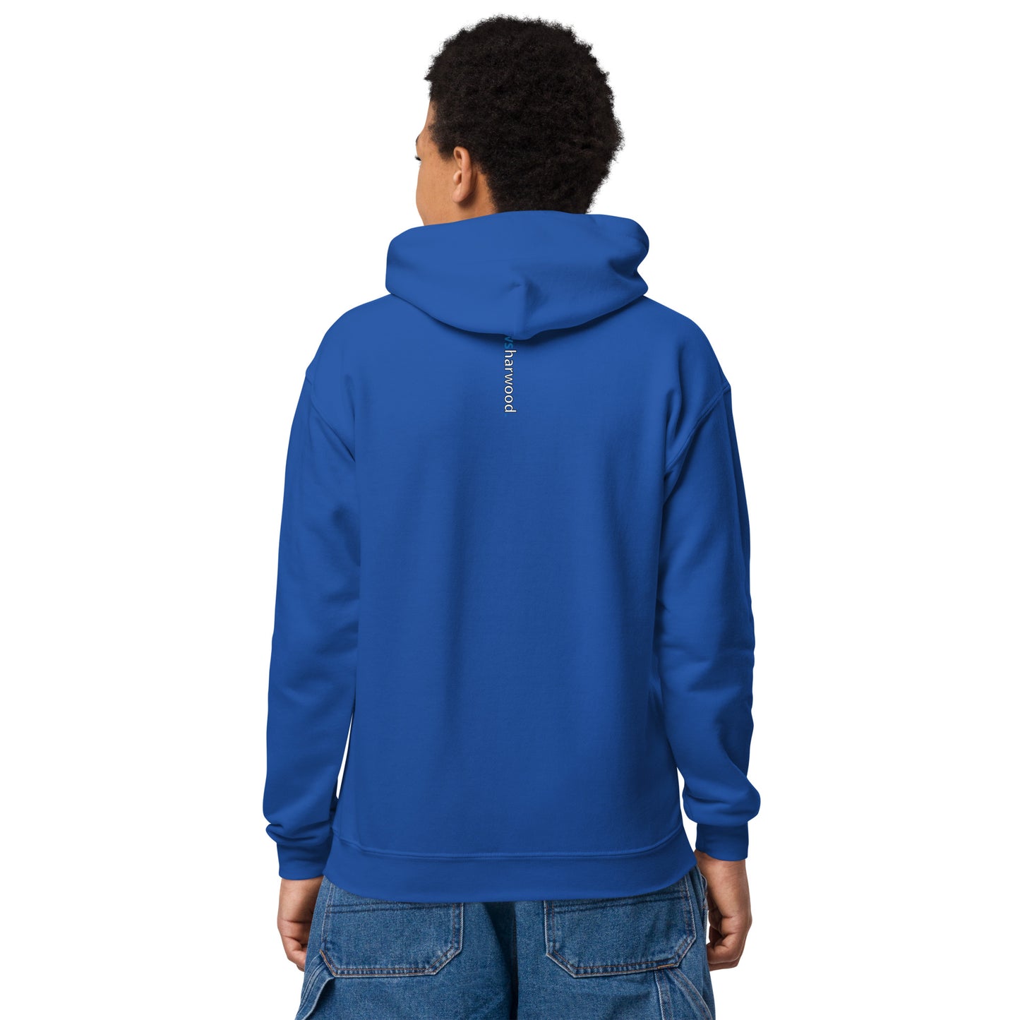 Daws running star multi color Youth heavy blend hoodie
